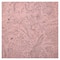 Shells Double-Sided Cardstock Paper by Recollections™, 12" x 12"
